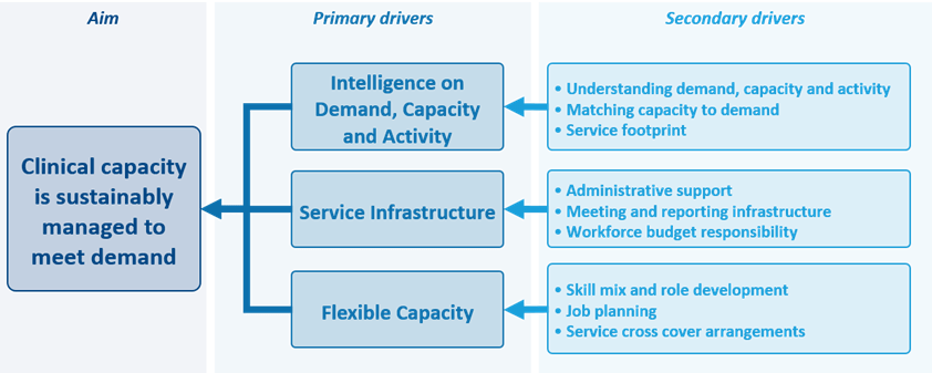 Team service planning driver diagram