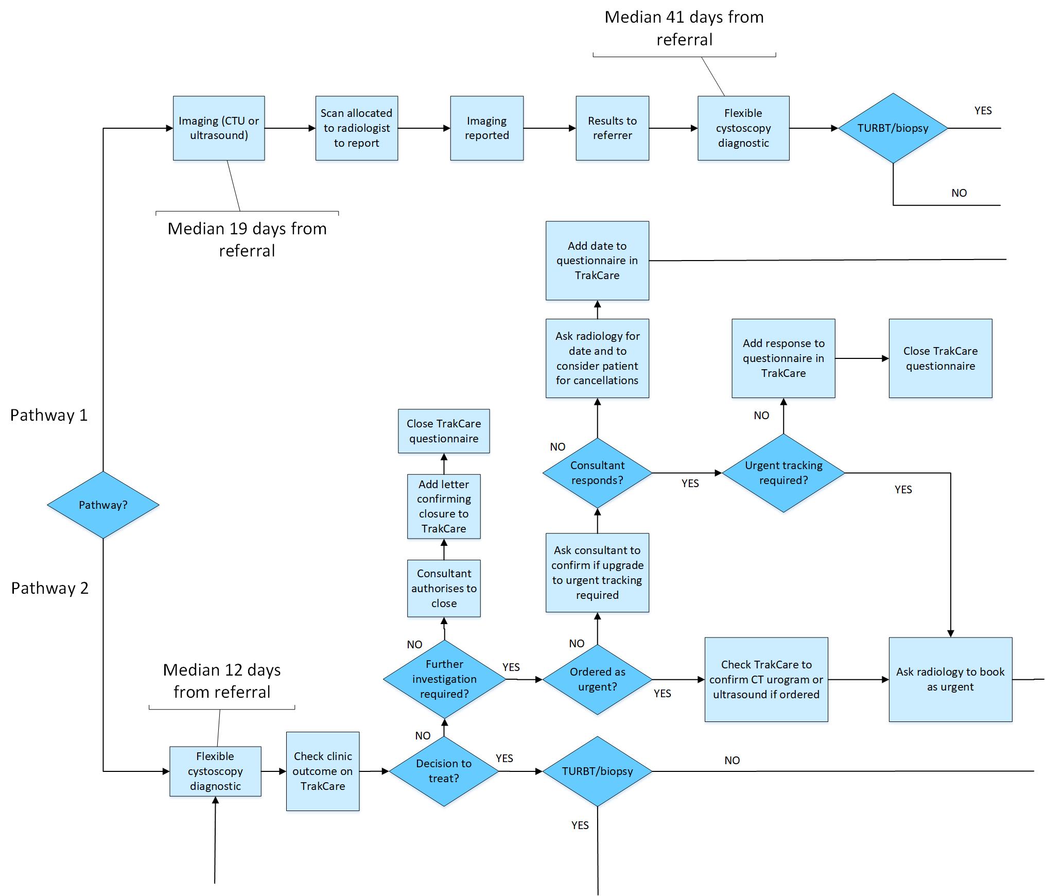 A small excerpt from pathways one and two of the original process map with detailed steps